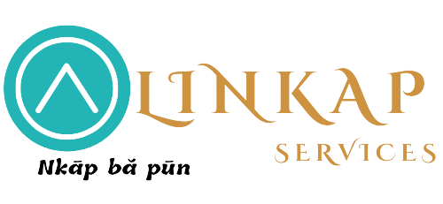Linkap services LLC